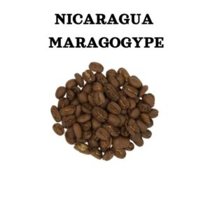 Nikaragvas Maragogype kvalitātes kafija